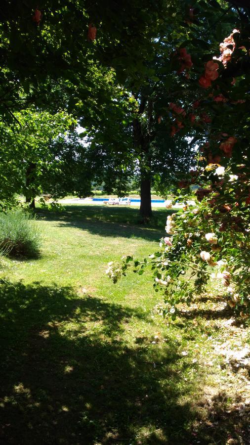 Domaine Du Have Acomodação com café da manhã Sainte-Christie-d'Armagnac Exterior foto