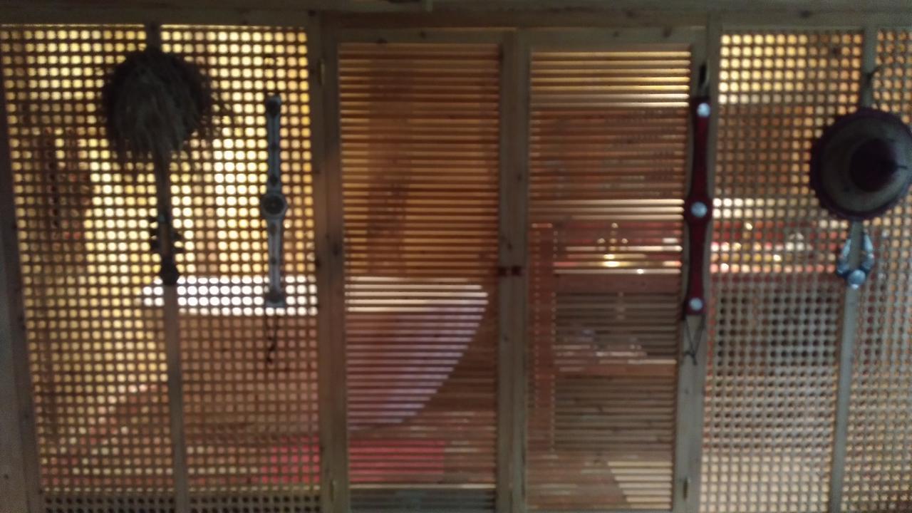 Domaine Du Have Acomodação com café da manhã Sainte-Christie-d'Armagnac Exterior foto